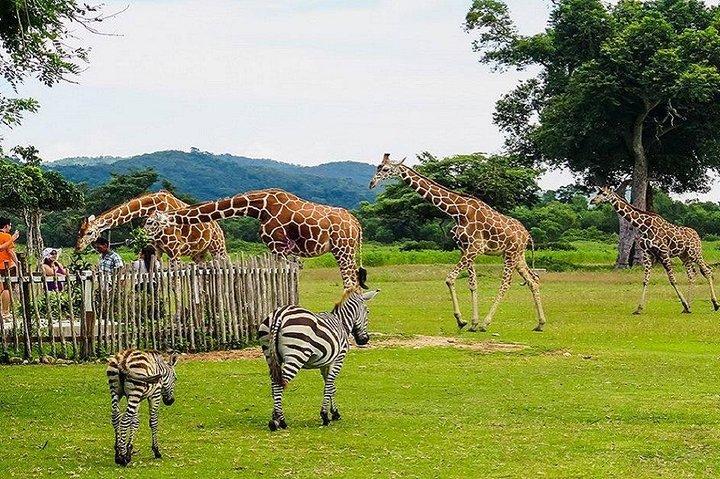 Coron-Calauit-Safari-Tour