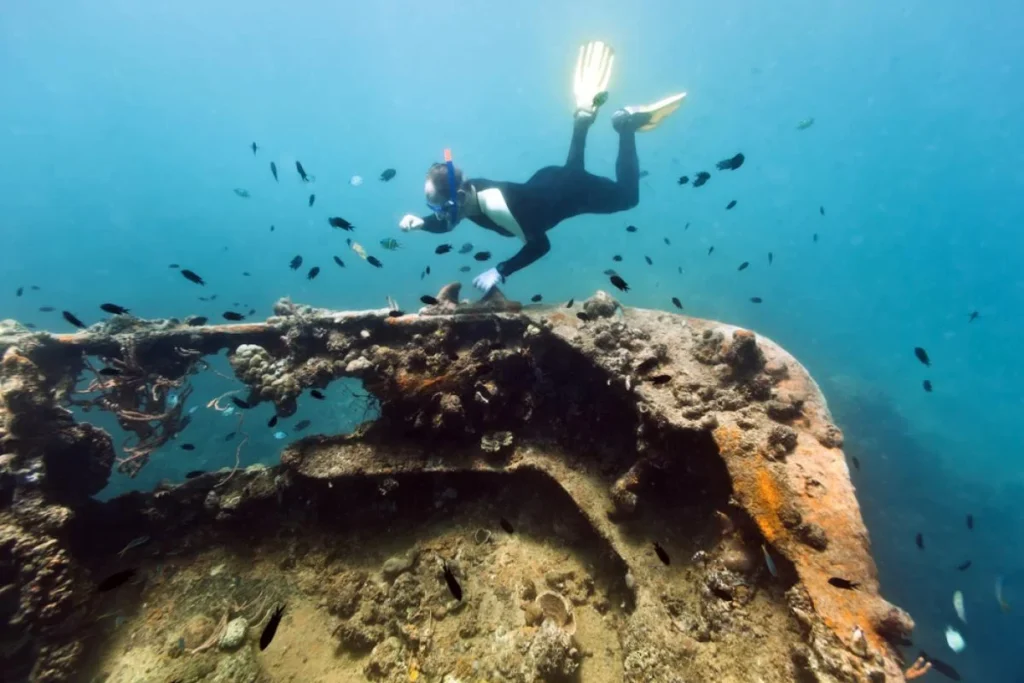 coron-reefs-and-wrecks-tour-diving