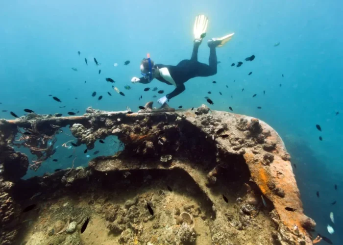coron-reefs-and-wrecks-tour-diving