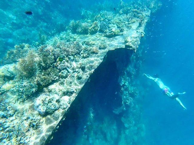 coron-REEF-AND-WRECKS